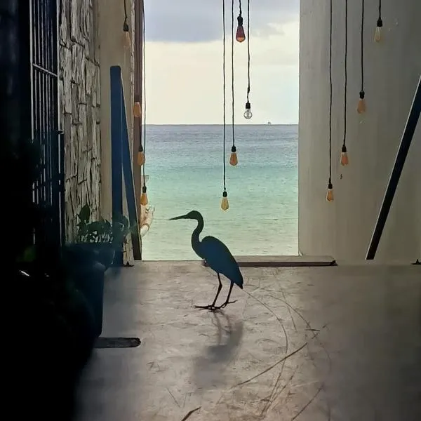 Hostel Auikyani, hotel in Cozumel