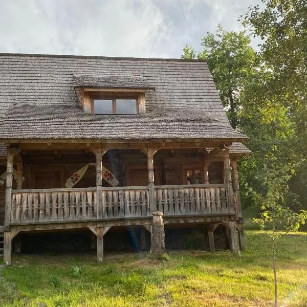 Poiana Creasta Cocosului-Casa Papadie, hotel en Breb