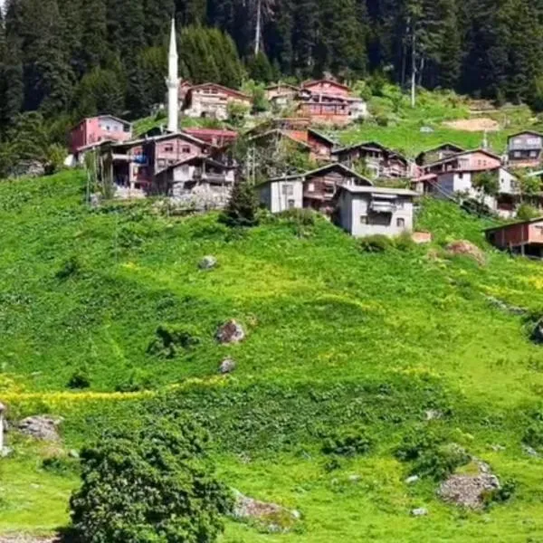Keleş Dag Evi, ξενοδοχείο στο Uzungol