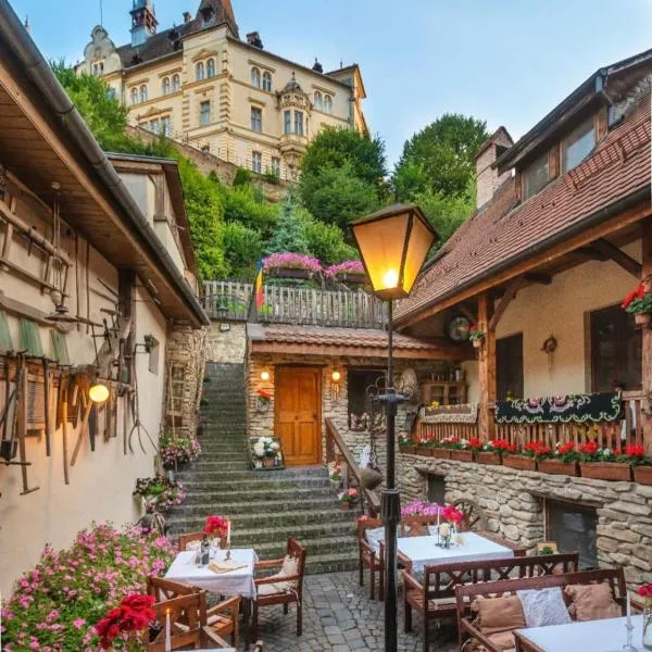 Casa Savri, hotel in Sighişoara