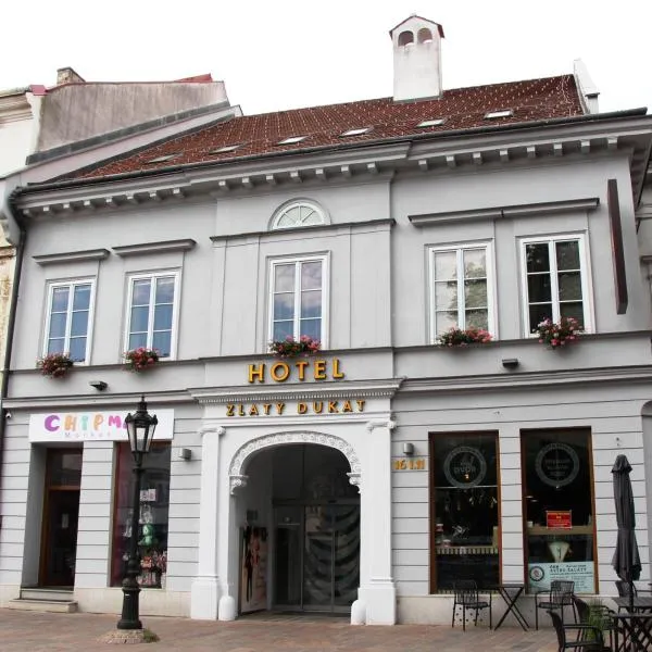 Boutique hotel Zlaty Dukat，位于科希策的酒店