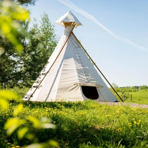 Briedžio sapnas - tipis mėnulis, hotel v destinaci Sudervė