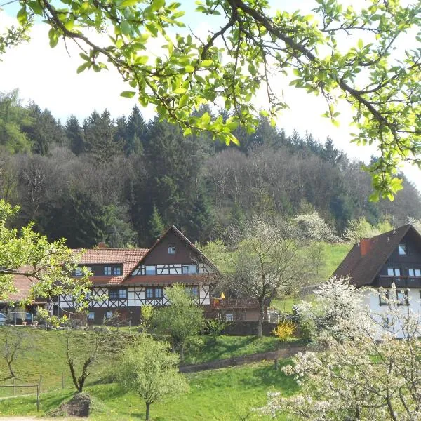 Ferienhof Fischer, hotel in Seebach