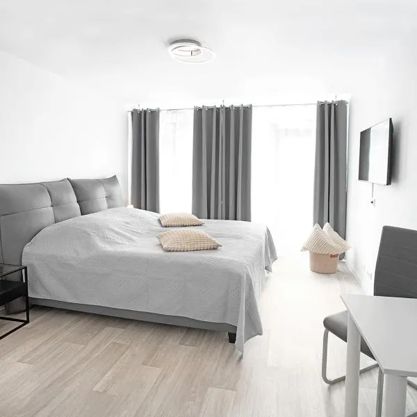 Wiesbaden - Appartment Biebricher Allee, hotel a Wiesbaden
