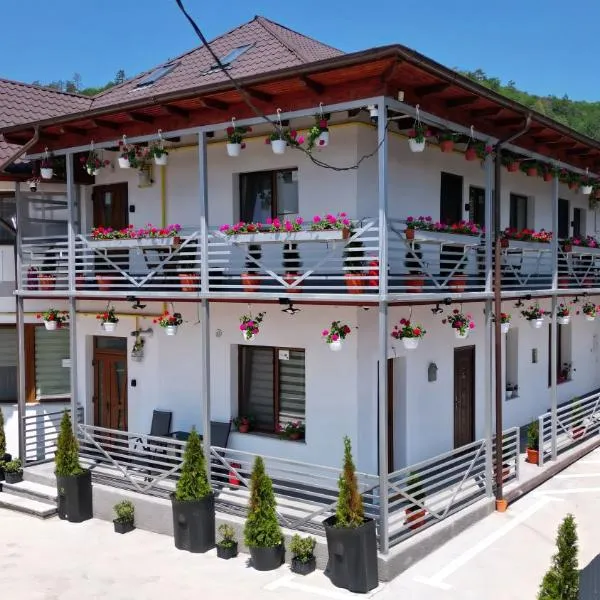 VAiAs Aparts: Târgu Neamţ şehrinde bir otel