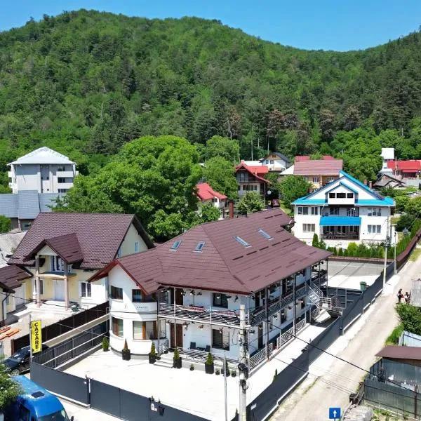 VAIAS Apartamente cu Terasa si Vedere Munte,位于特尔古尼亚姆茨的酒店