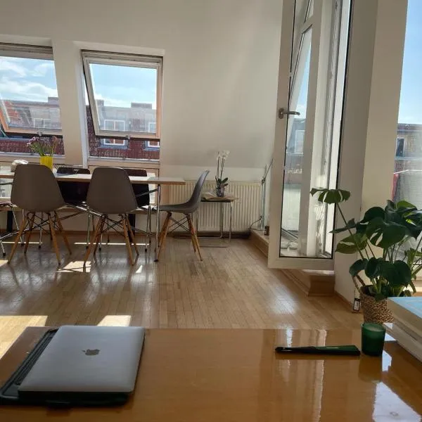 bright rooftop loft with river view, отель в Берлине