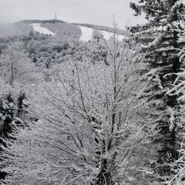 Mountain view chalet avec vue sur la montagne, hotel en Stoneham