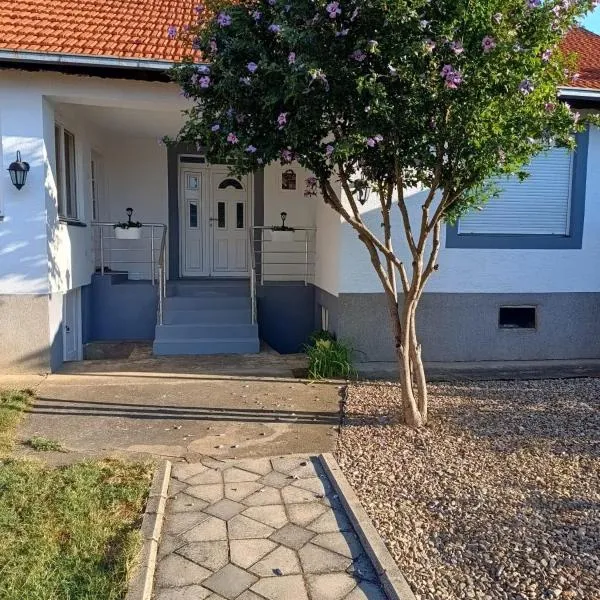 Home Well Apartman Vranje，位于弗拉涅的酒店