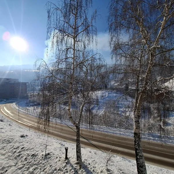 Apartment Borac - Free Parking - Free WiFi, hotel v destinaci Travnik