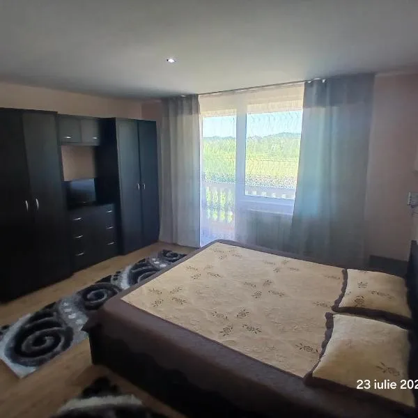 Casa David, hotel in Sighetu Marmaţiei