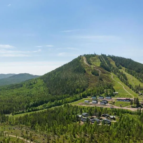 Gesundaberget Lodge & Parstugor, hotel in Gesunda