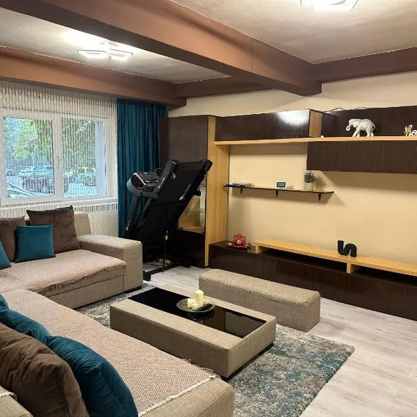 Cozyhouse, ξενοδοχείο στην Ντρομπέτα-Τούρνου Σεβερίν