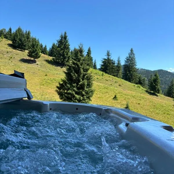 Cuibul lui Răzvan - Domeniul Barabuc Colibița, hotel in Colibiţa