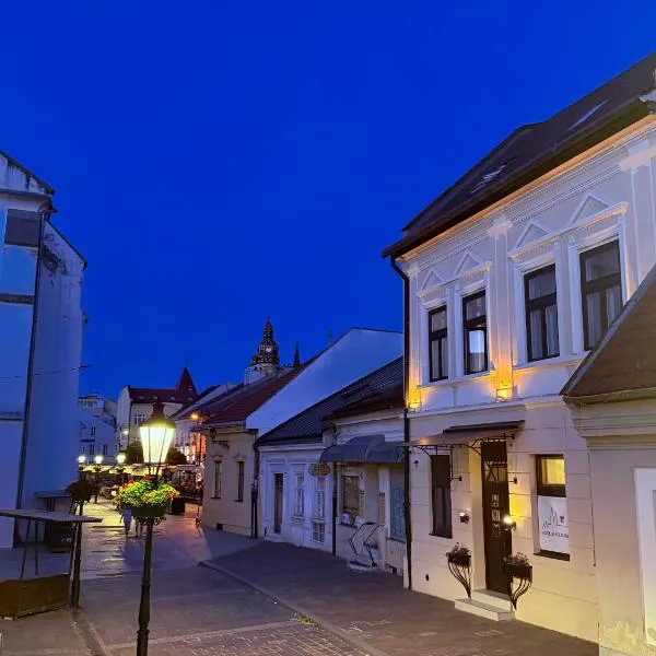 Hotel Zlaté Košice - Self reception，位于科希策的酒店