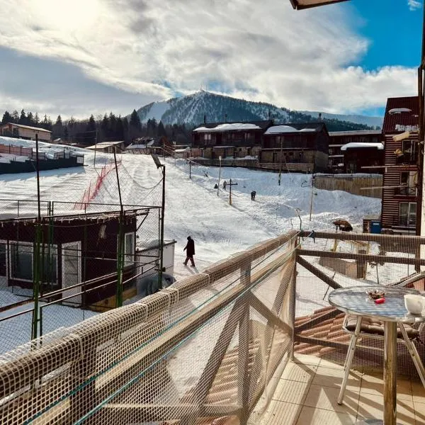 Bakuriani Mgazavrebi block 2 apartment 207, hotel in Bakuriani