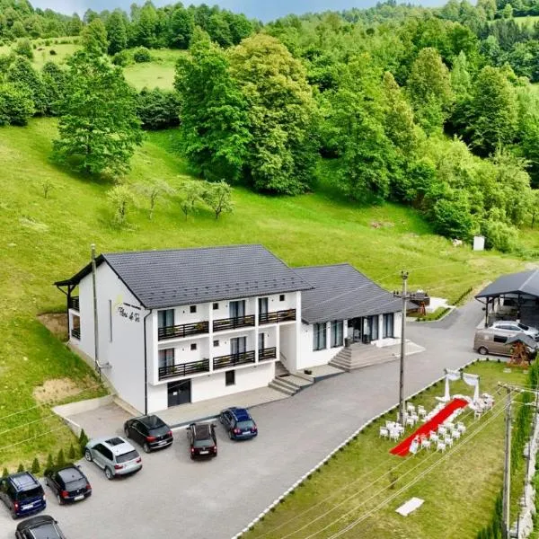 Flori de Tei Maramures, Hotel in Săcel
