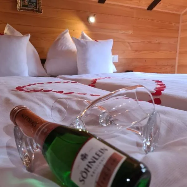 Kosmajski vajati Petra, Hotel in Nemenikuće