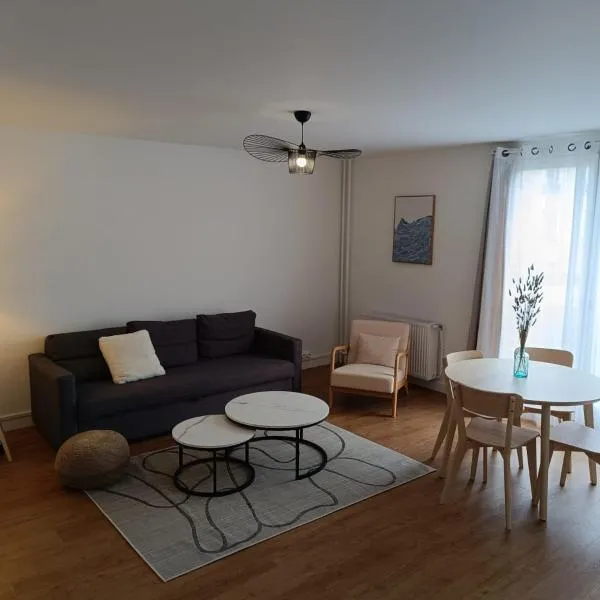 Confort 50m2 proche stade, Hotel in Saint-Denis