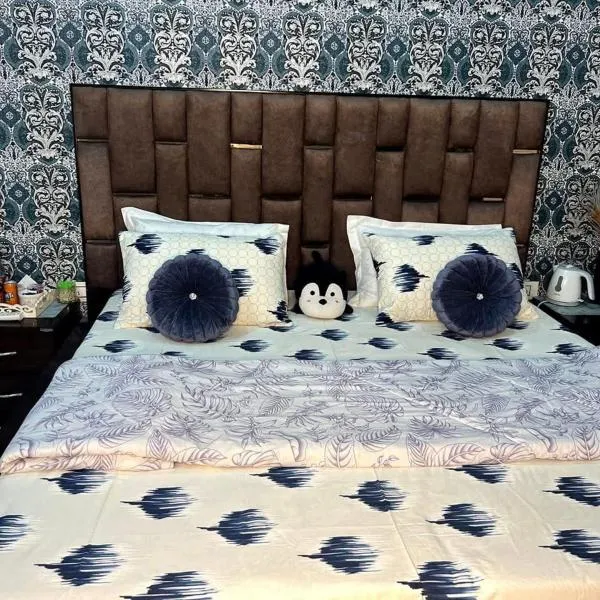 Backpackers homestay, hotel, хотел в Патанкот