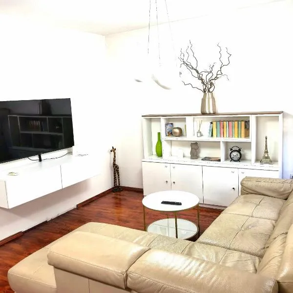 Luxury apartment Podgorica, Hotel in Podgorica