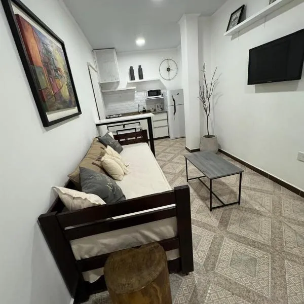 Don Antonio Apart1, hotel in Resistencia