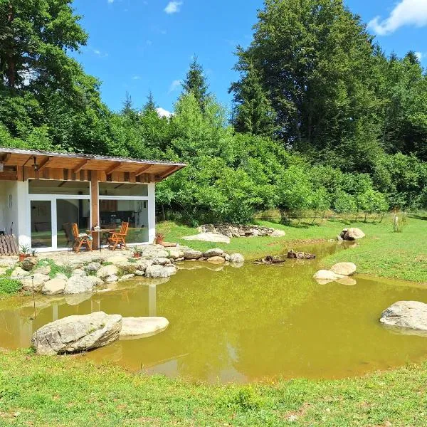 Froschteichhäuschen - Natur und Wellness, hotel em Spitzwiesen