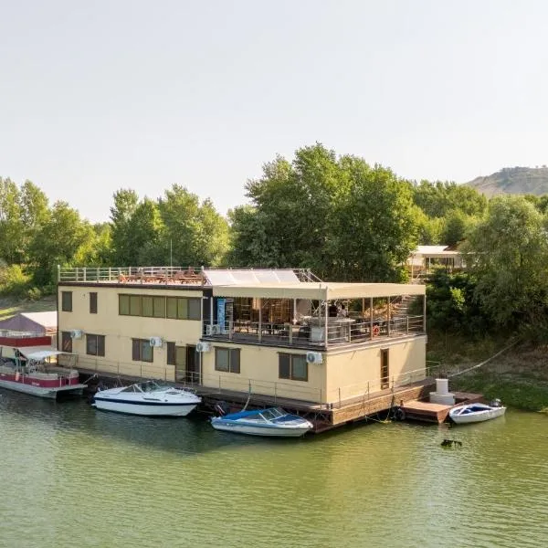 Tiena Hotel Plutitor, ξενοδοχείο σε Turcoaia