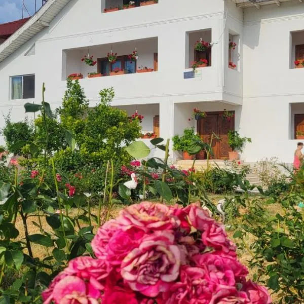 Pensiunea Ela Novaci, hotel v destinaci Novaci-Străini