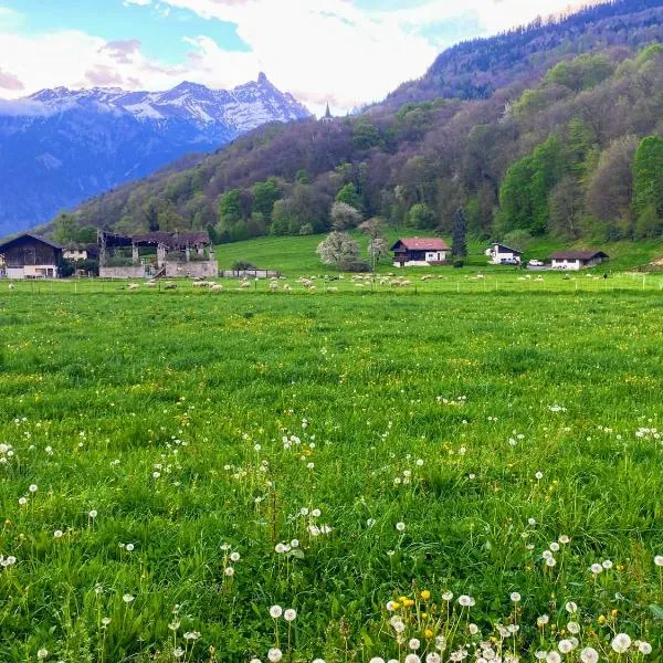 Mountain View, hotel v destinaci Monthey