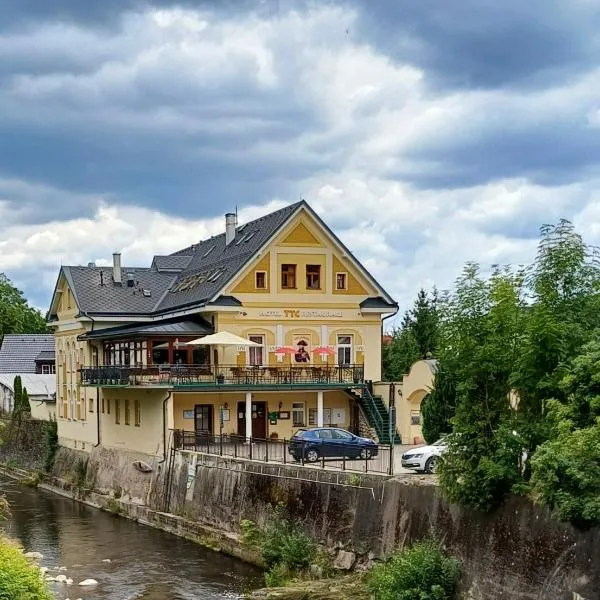 Wellness & Sport Hotel TTC, ξενοδοχείο σε Vrchlabí