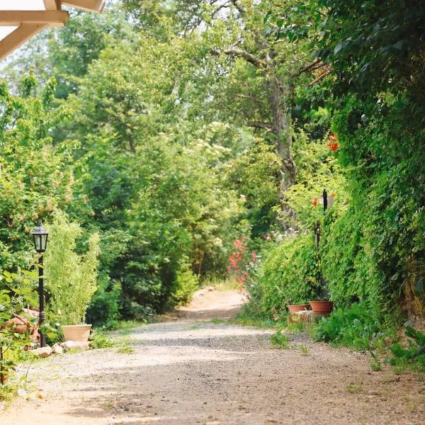 Les Grangeonnes, gîtes nature, piscine, bain nordique, sauna pour accueil familiale ou de groupe、Saint-Basileのホテル