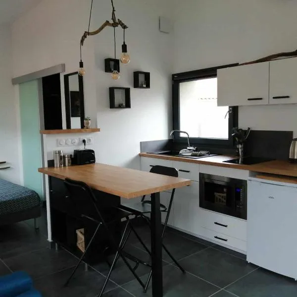 Micro Maison indépendante，位于Commelle-Vernay的酒店