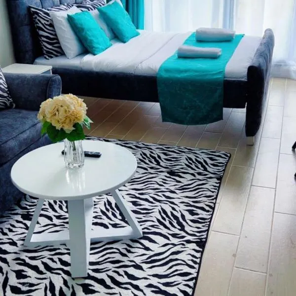 Caster studio apartment jkia, hotel in Syokimau