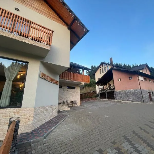 Pensiunea Georgiana, hotel in Durau