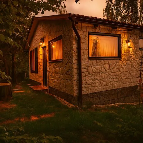Forest Hide Tiny House, hotel i Covasna
