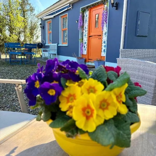 Blueberry Tiny Home, hotel in Kilmurry McMahon