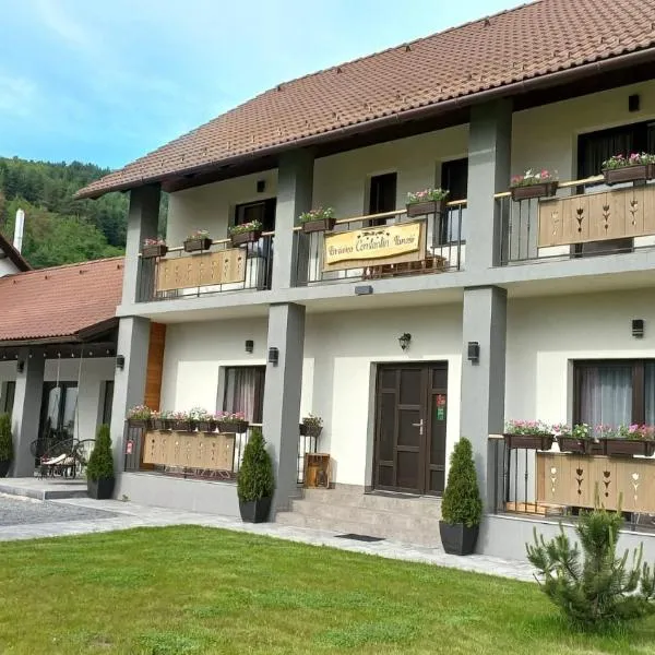 Constantin Panzió: Praid şehrinde bir otel