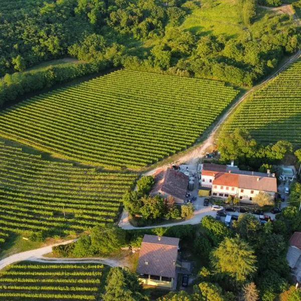 Residence Tenuta Gambalonga, ξενοδοχείο σε Cinto Euganeo