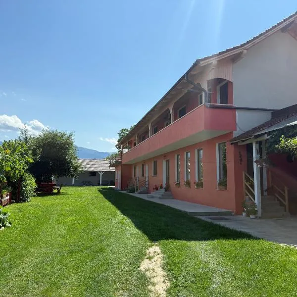 Dai Nonni, hotel u gradu Cirtisoara
