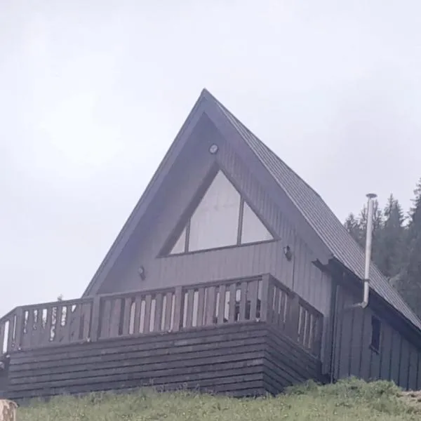 Тишина гір Над потоками, hôtel à Berezhnytsya