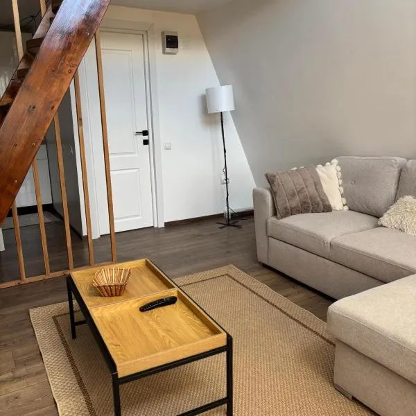 RanyA-Frame，位于Nucşoara的酒店