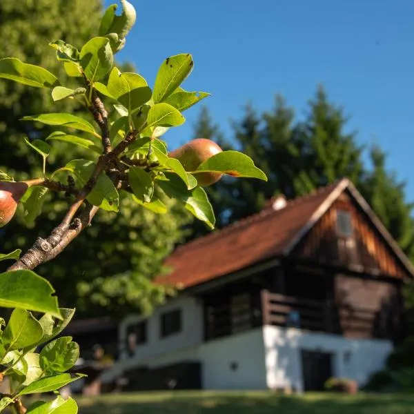 Martin's Family Cottage with Hot Tub & Views, hotel in Šmarje pri Jelšah