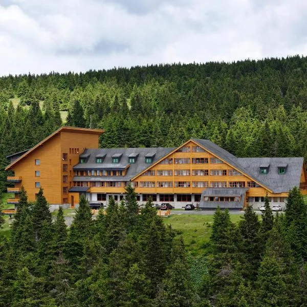 Hotel Petrovy kameny, ξενοδοχείο σε Karlova Studánka