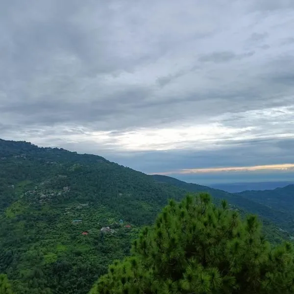 Palm Tree Paradise Retreat, hotel v destinaci Kasauli