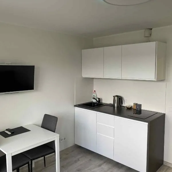 Vilnius Apartment with Balcony, hotel in Vilnius