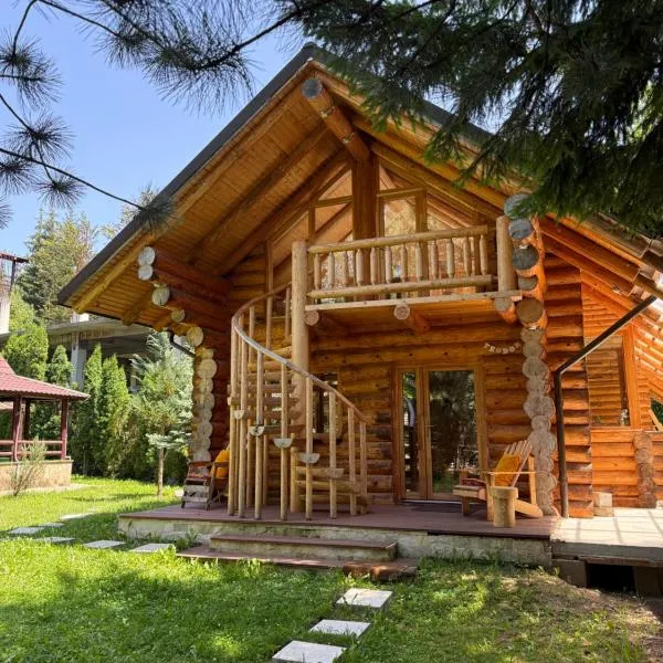 Cabane- Vila Crinul si Teodor Poiana Brasov, hotel in Poiana Brasov