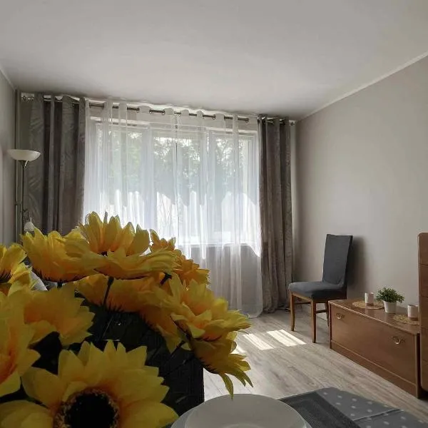Apartament Słoneczna Mazurska, hotel a Gdańsk