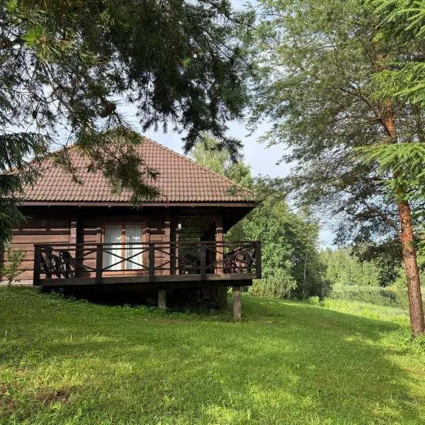 Holiday house Medņusala, hotel in Mālpils