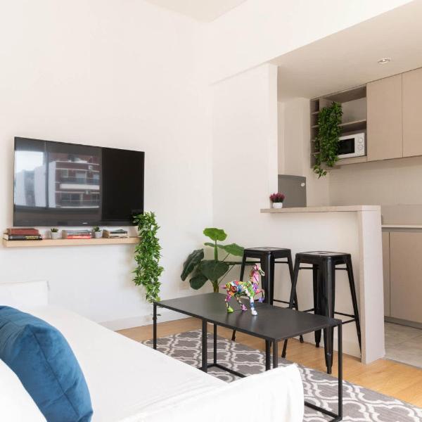 MOT Paunero 2700 F - Loft in Palermo Chico, Buenos Aires